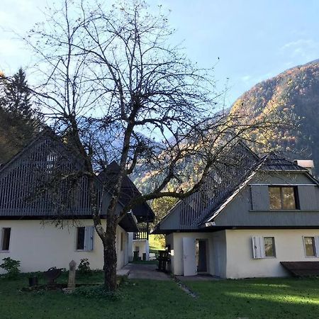 Cozy Cottage In The Heart Of The Triglav National Park Soca Exterior photo