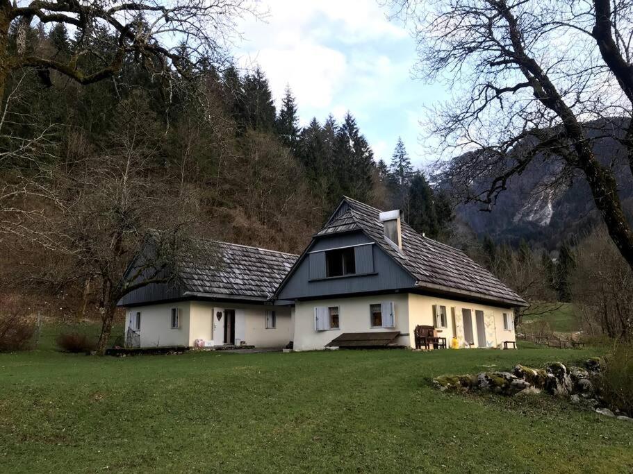 Cozy Cottage In The Heart Of The Triglav National Park Soca Exterior photo