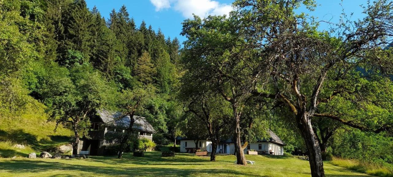 Cozy Cottage In The Heart Of The Triglav National Park Soca Exterior photo