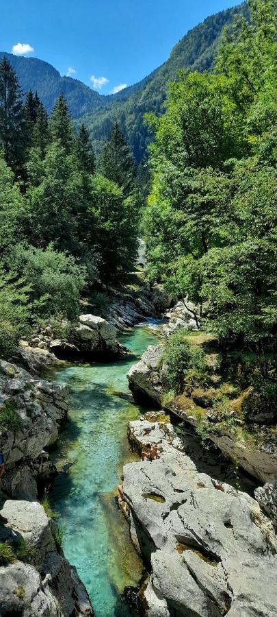 Cozy Cottage In The Heart Of The Triglav National Park Soca Exterior photo