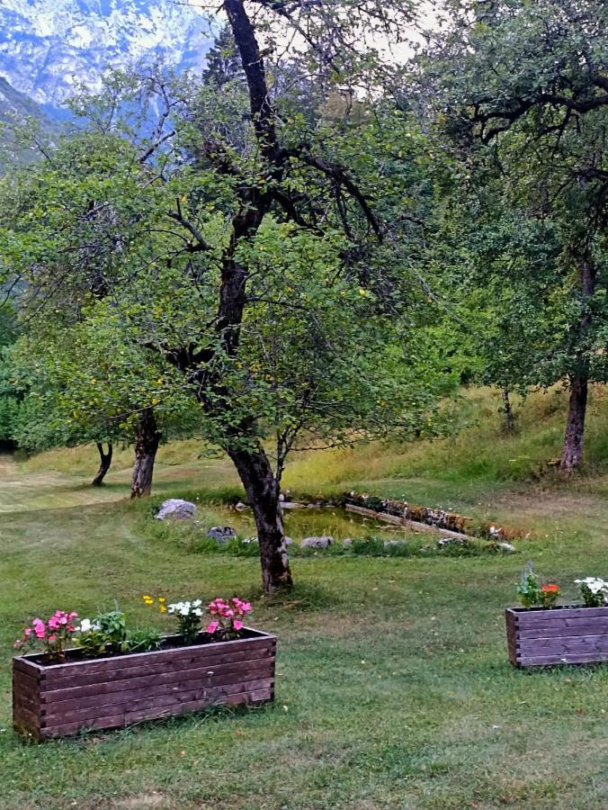 Cozy Cottage In The Heart Of The Triglav National Park Soca Exterior photo