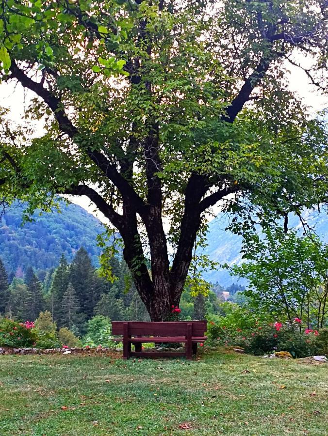 Cozy Cottage In The Heart Of The Triglav National Park Soca Exterior photo